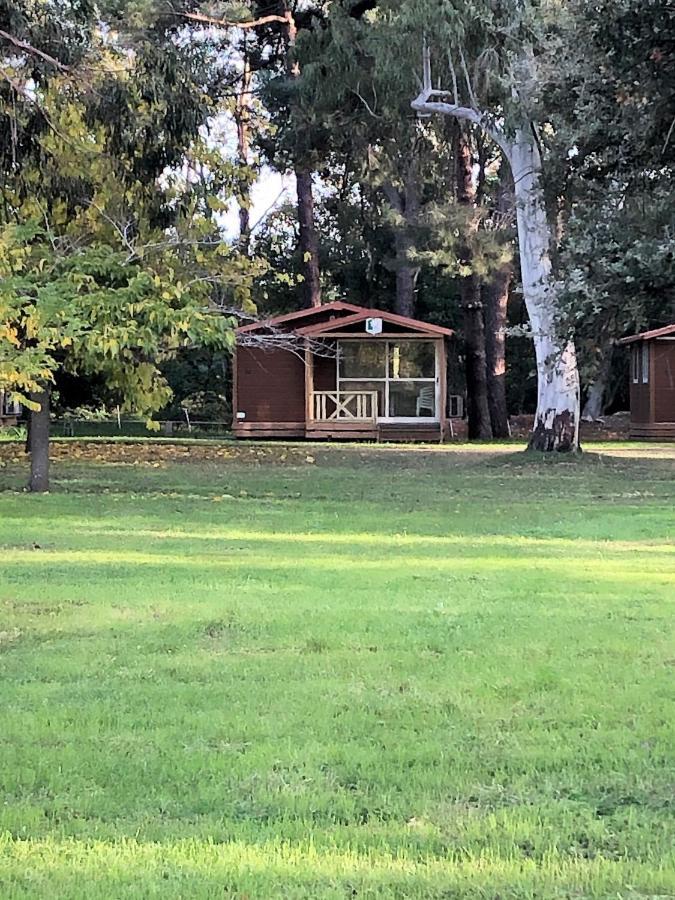 Camping L'Oso Porto-Vecchio  Kültér fotó