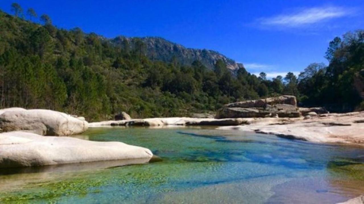 Camping L'Oso Porto-Vecchio  Kültér fotó